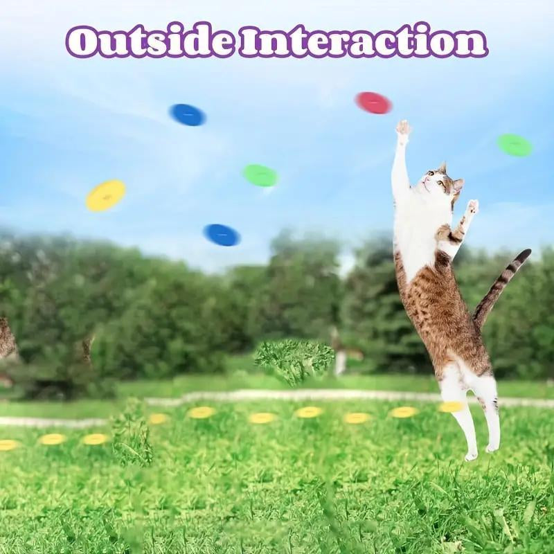 Interactive Cat Toy Launcher - Battery-Free Foam Plate Shooter for Indoor Play - Ideal Pet Supplies for Small Cats and Dogs