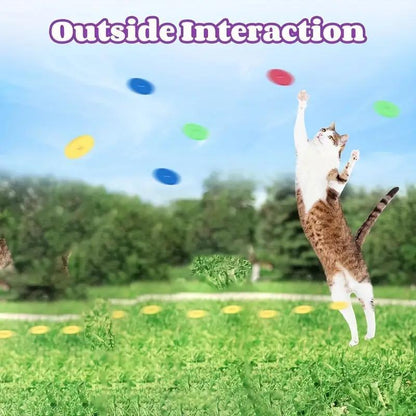 Interactive Cat Toy Launcher - Battery-Free Foam Plate Shooter for Indoor Play - Ideal Pet Supplies for Small Cats and Dogs