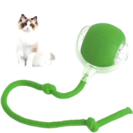 Interactive Rechargeable Cat and Dog Rolling Ball Toy - Smart Pet Entertainment 2024